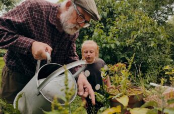 haveservice i Odense